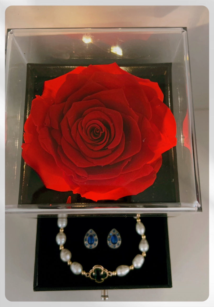 Ecuadorian Eternal Rose Jewelry Box – “Best Wishes” Edition