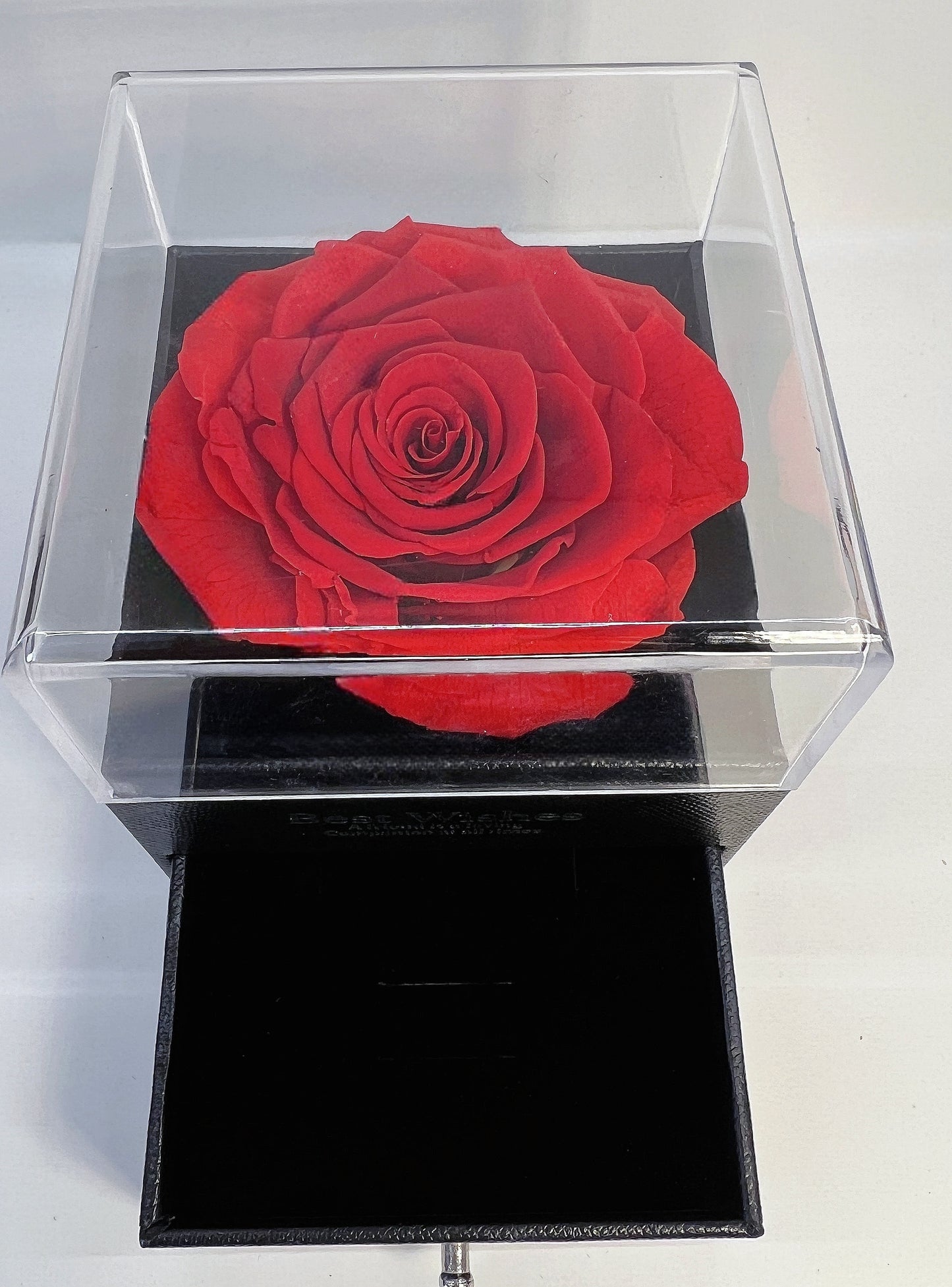 Ecuadorian Eternal Rose Jewelry Box – “Best Wishes” Edition