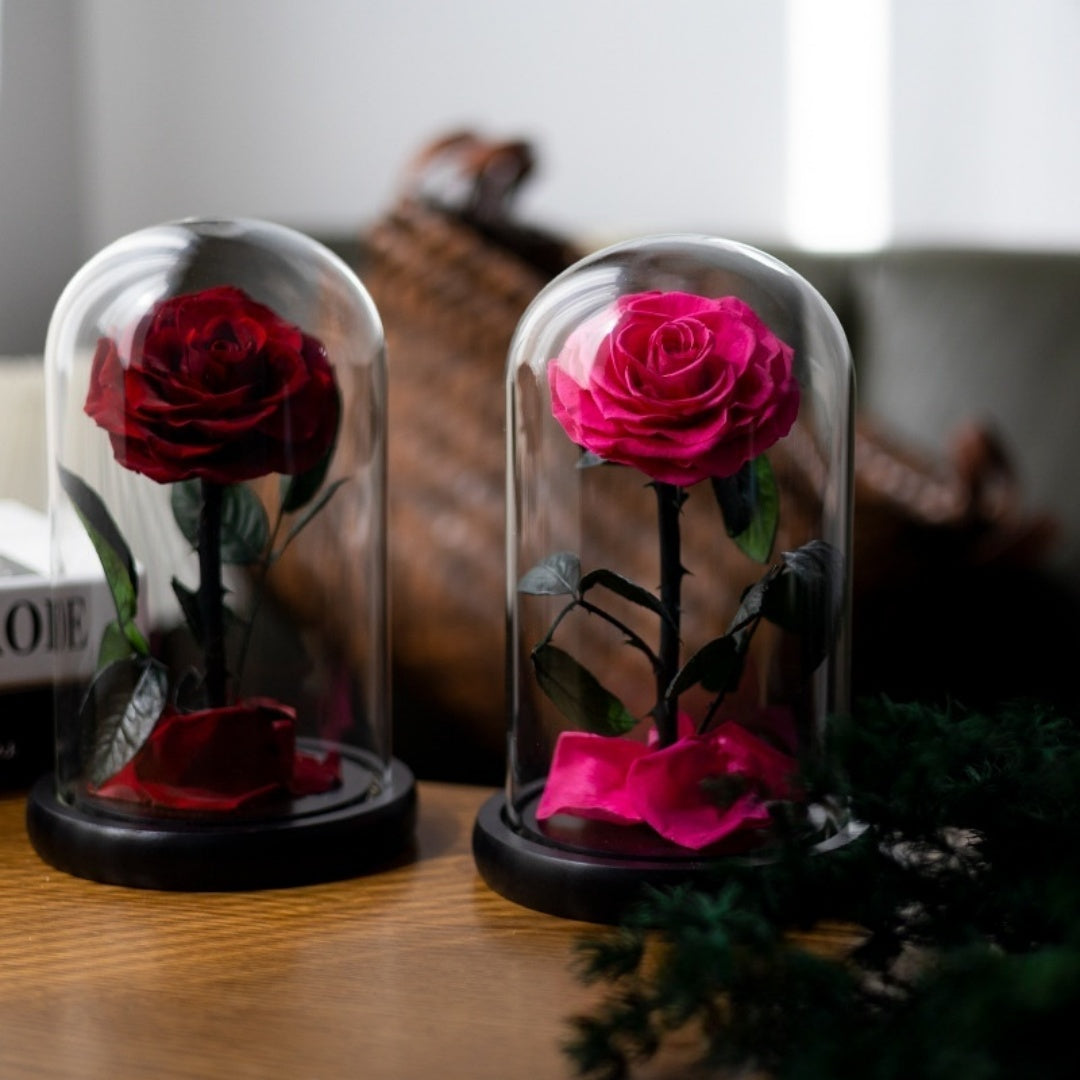 Magical Preserved Rose in Dome – Symbol of Timeless Love