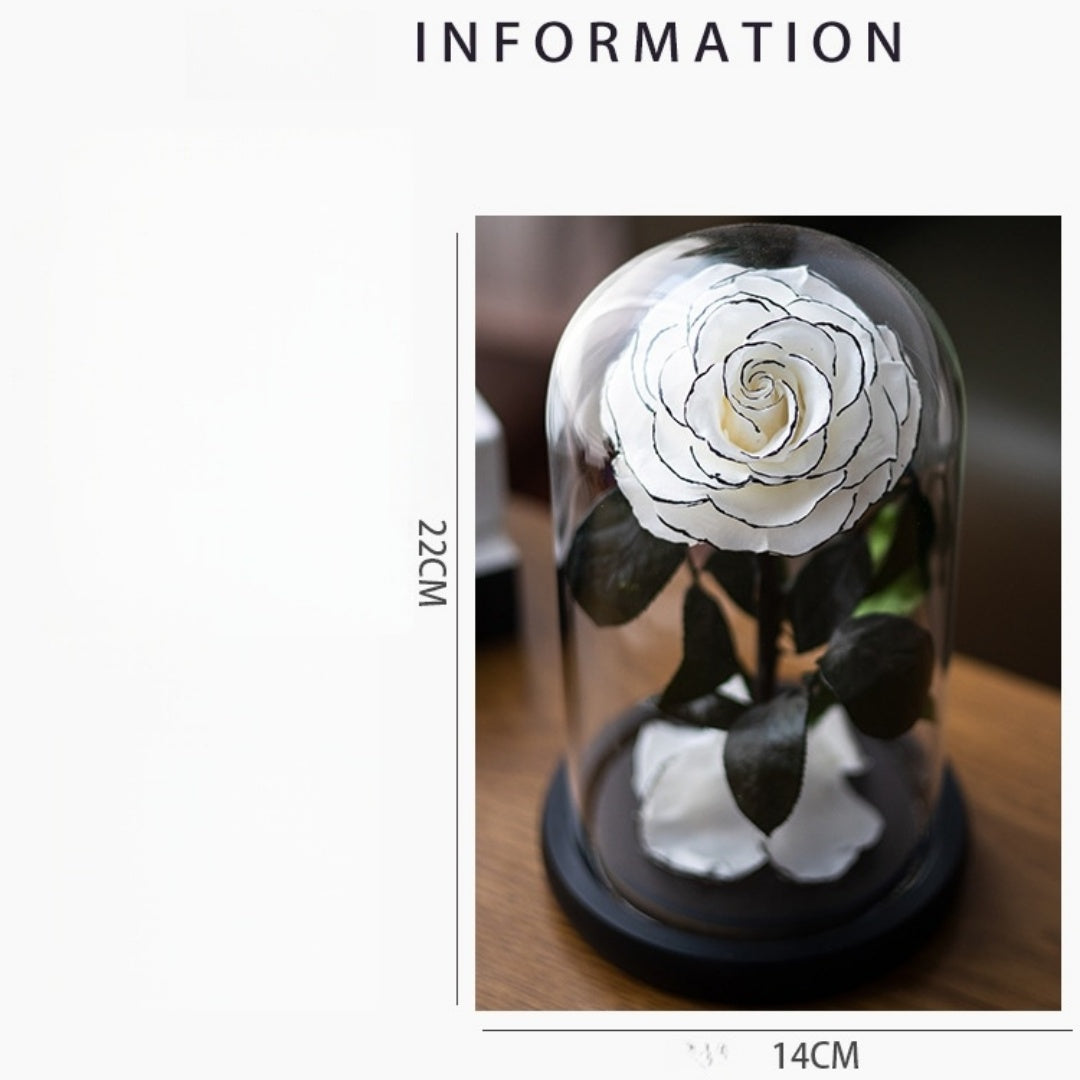 Magical Preserved Rose in Dome – Symbol of Timeless Love