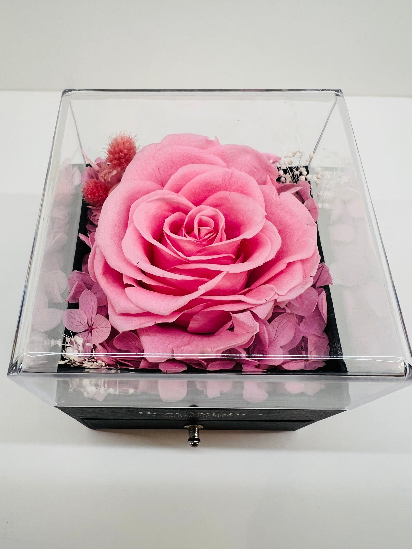 Eternal Love Preserved Rose Jewelry Box with Heart Alloy Earrings
