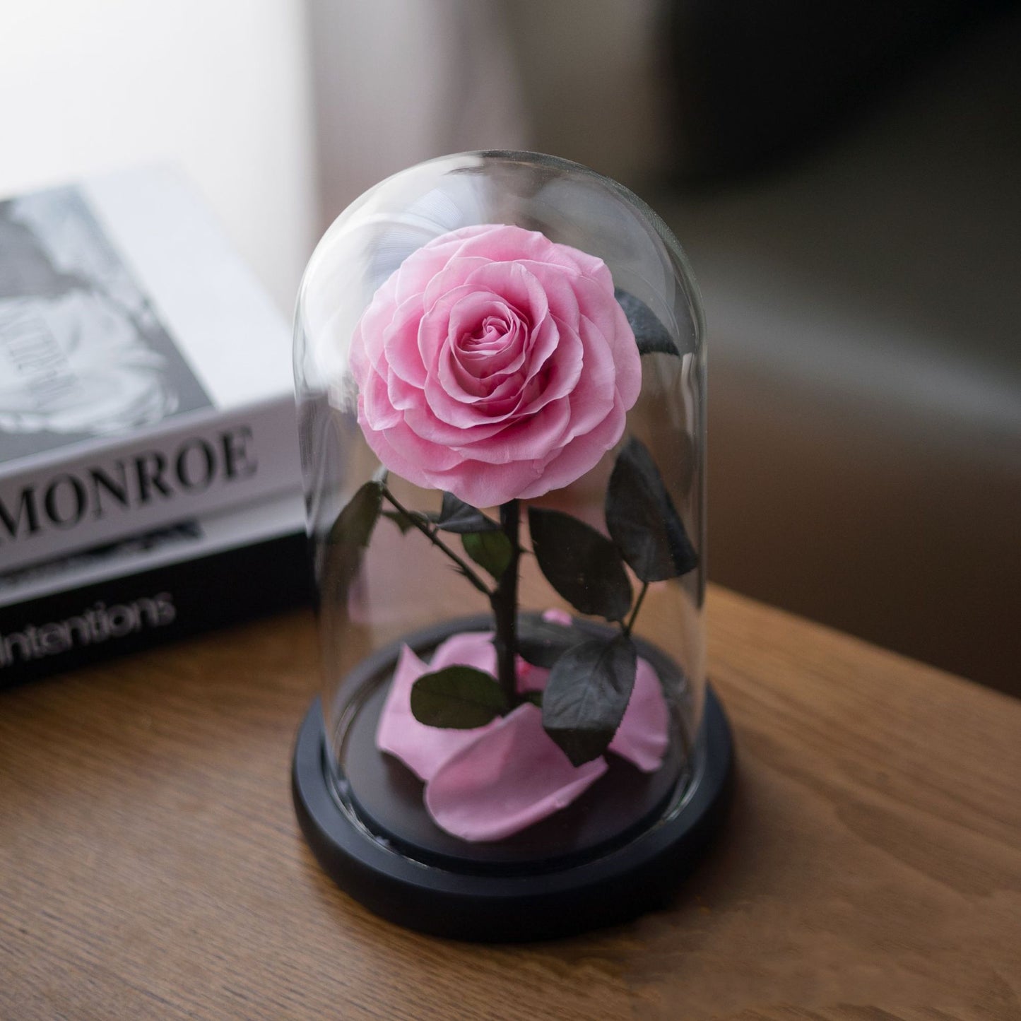 Magical Preserved Rose in Dome – Symbol of Timeless Love