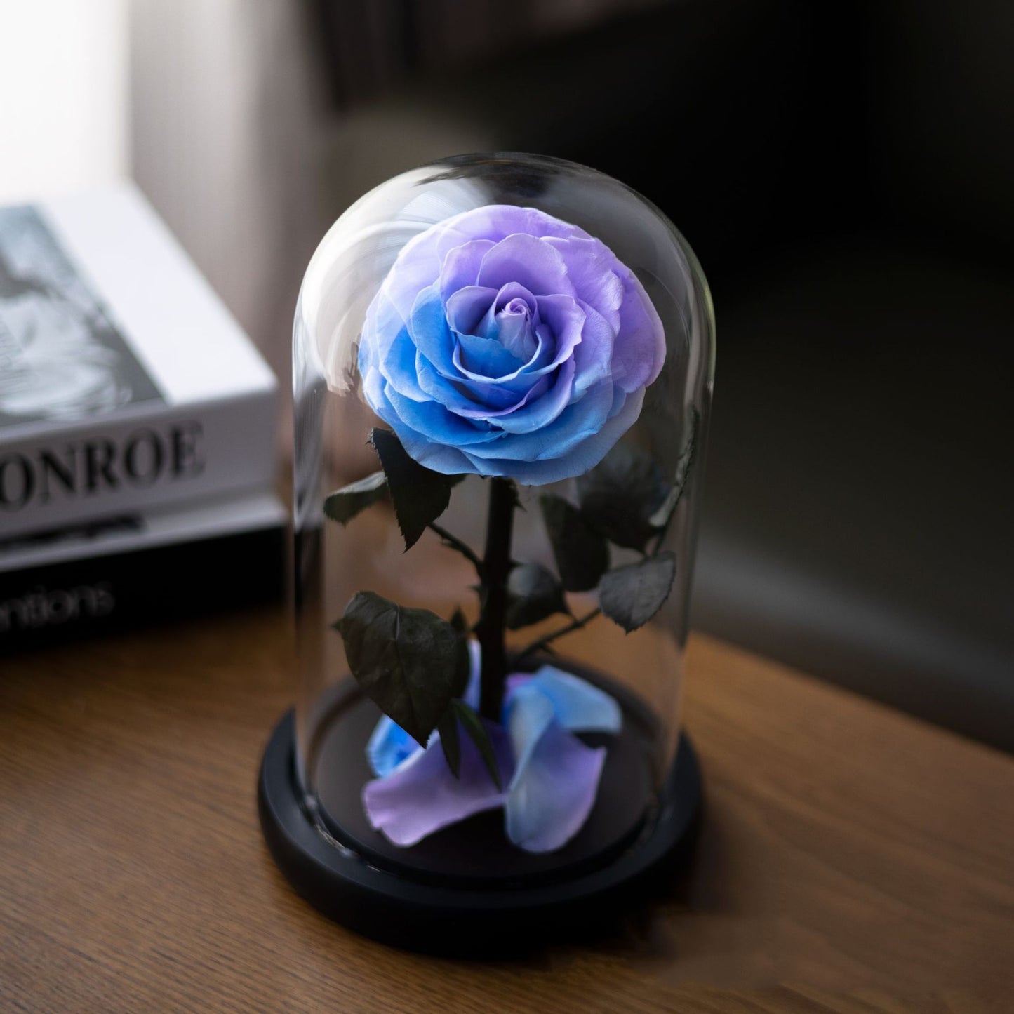 Magical Preserved Rose in Dome – Symbol of Timeless Love