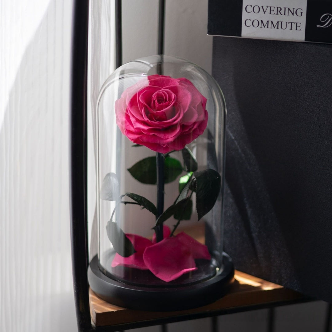 Magical Preserved Rose in Dome – Symbol of Timeless Love