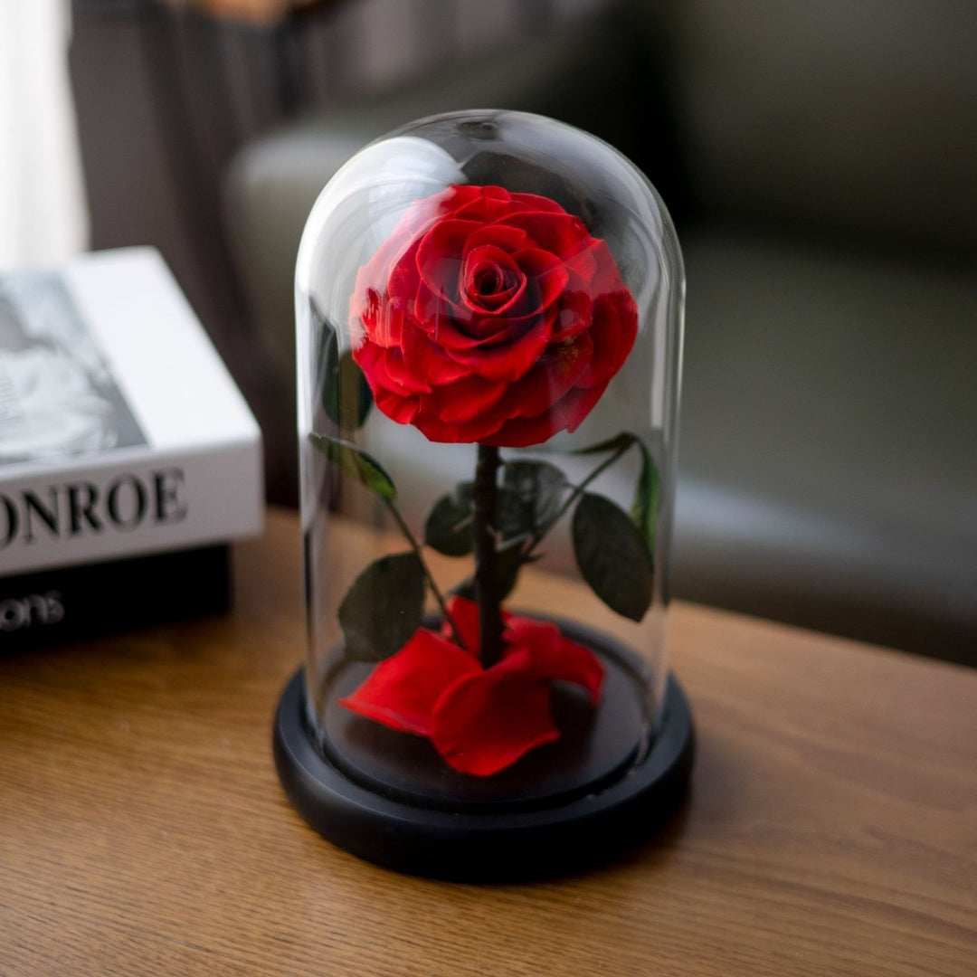 Magical Preserved Rose in Dome – Symbol of Timeless Love