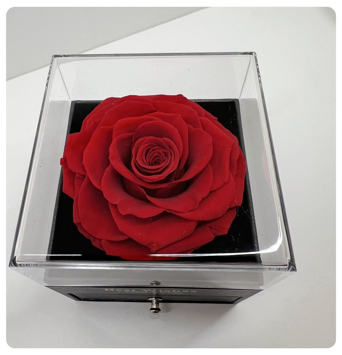 Ecuadorian Eternal Rose Jewelry Box – “Best Wishes” Edition