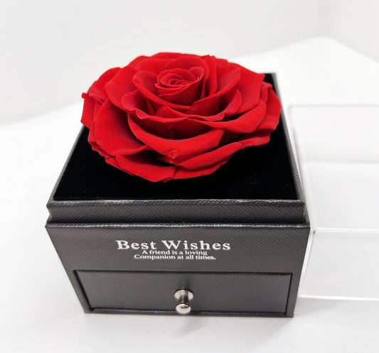 Ecuadorian Eternal Rose Jewelry Box – “Best Wishes” Edition